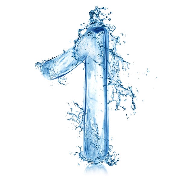 Preventing Water Damage and Mold